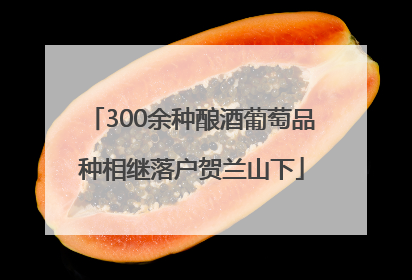 300余种酿酒葡萄品种相继落户贺兰山下
