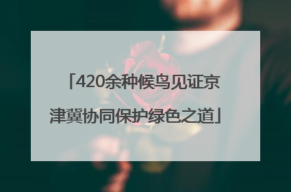 420余种候鸟见证京津冀协同保护绿色之道