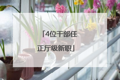 4位干部任正厅级新职