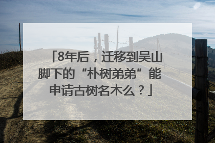 8年后，迁移到吴山脚下的“朴树弟弟”能申请古树名木么？