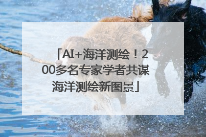 AI+海洋测绘！200多名专家学者共谋海洋测绘新图景