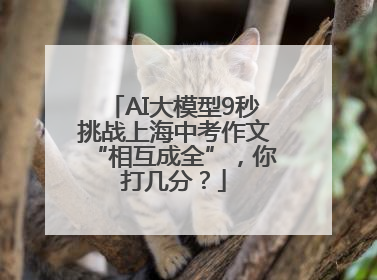 AI大模型9秒挑战上海中考作文“相互成全”，你打几分？