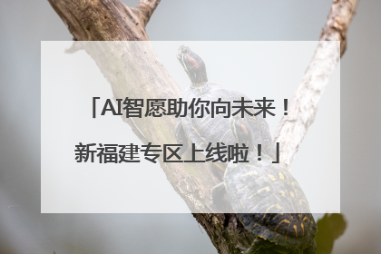 AI智愿助你向未来！新福建专区上线啦！