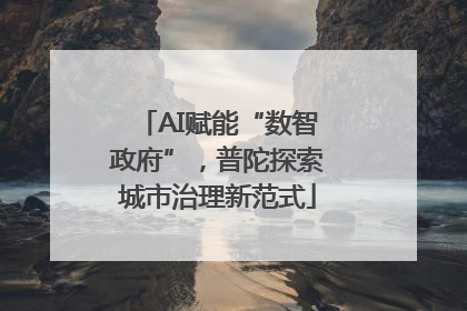 AI赋能“数智政府”，普陀探索城市治理新范式