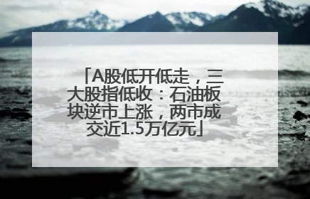 A股低开低走，三大股指低收：石油板块逆市上涨，两市成交近1.5万亿元