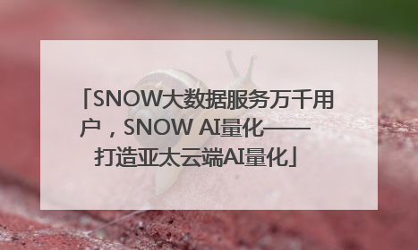 SNOW大数据服务万千用户，SNOW AI量化——打造亚太云端AI量化